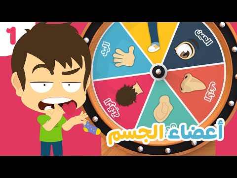 أعضاء الجسم (الجزء ١)  | تعليم أعضاء الجسم باللغة العربية للأطفال مع زكريا و زيكو