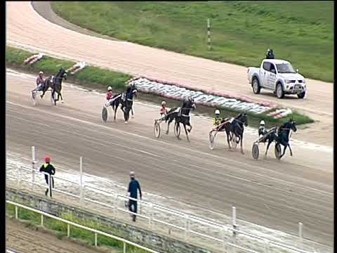 Trotto 31/05/2019 - 6ª corsa