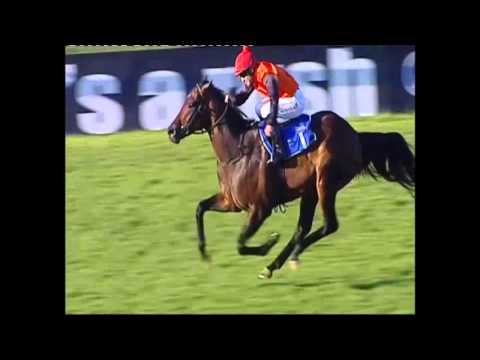 Kangaroo Jack Turffontein 22 March 2016