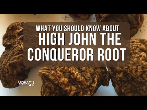 What You Should Know About High John the Conqueror Root