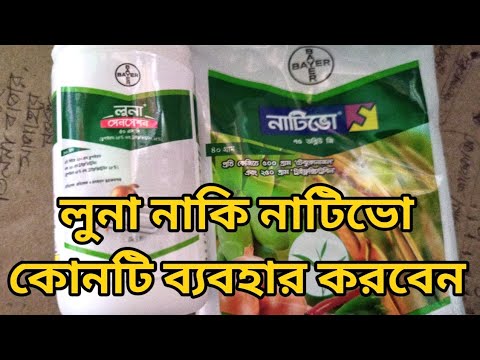 লুনা নাকি নাটিভো ব্যবহার করবেন Luna or Nativo Which one to use?