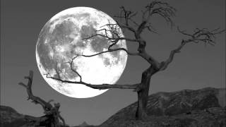 Caitlin Cary & Thad Cockrell "Don't make it better"