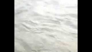 preview picture of video 'فيضانات واد شيشاوة المرعب لسكانها fayadan ouad chichaoua'