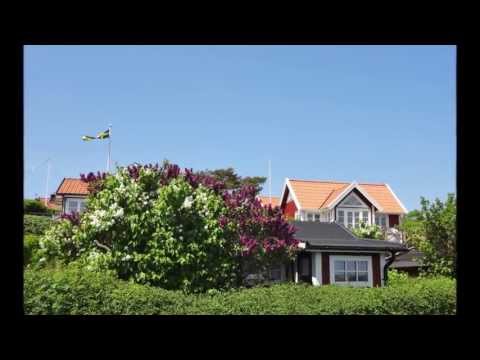 Promenad på Brändaholm