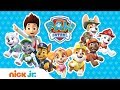 How Many PAW Patrol Friends Can You Name In Ft Chase Chickaletta More PAW Patrol Nick Jr