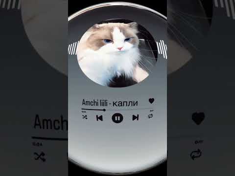 Amchi liili - капли(sped up)