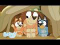 Unsere Familie Lieben 30 Minuten Voller LIEBE Bluey Deutsch Offizieller Kanal