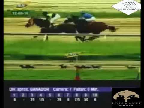 VALENCIA 7 CARRERA, VIERNES 12 DE AGOSTO DEL 2016