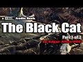 The Black Cat [Part 1 of 2] by Edgar Allan Poe ...