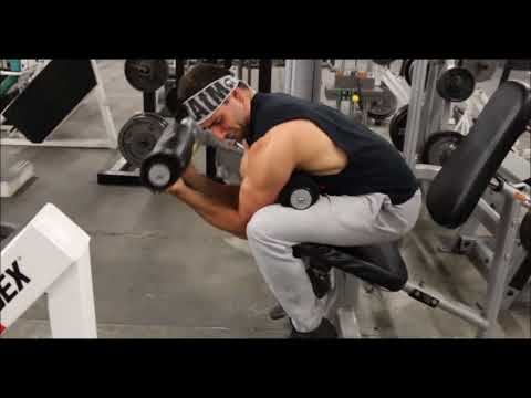 Duckulfi - Samsa x sacio