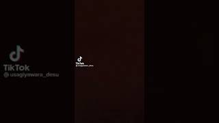 【TikTok】1週間のまとめ