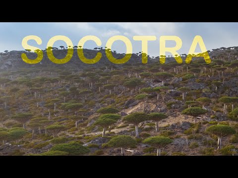 SOCOTRA. The Movie