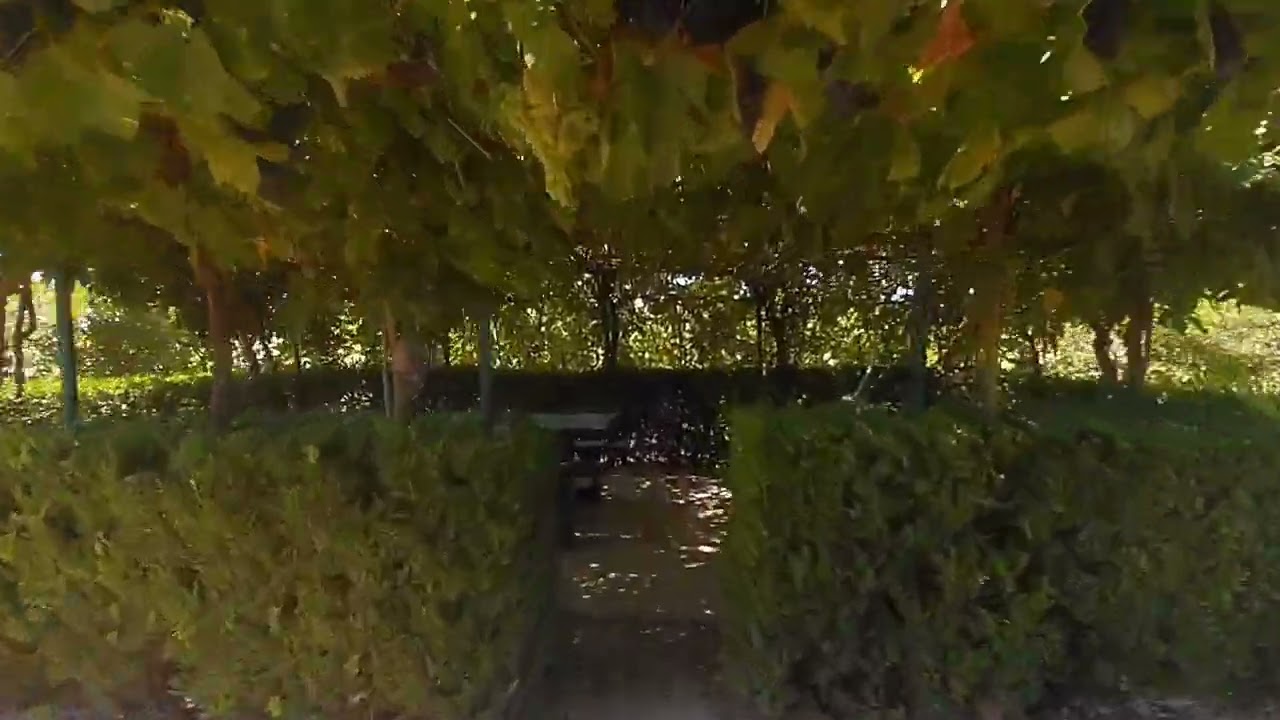 Vídeo do imóvel