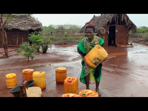 Early Rainy Morning In an African Village/ Cooking Fresh Organic Breakfast