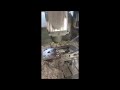 Video abspielen