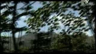 Piero Pelù - Velo.mpg