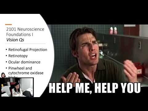 [2101 Neuroscience Foundations I] Vision Blip