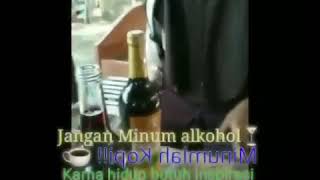 Download lagu Viral cewe minum anggur merah mp3
