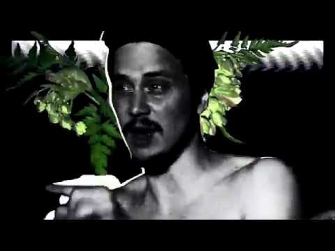 DIM OUT - Plantans Vätte (Official Video)