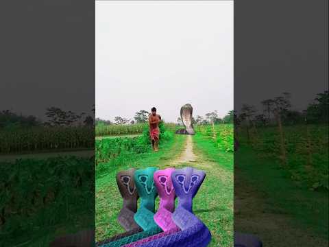 soroje aya#nata#rag hara#harq#shambhu cnake aya#rre