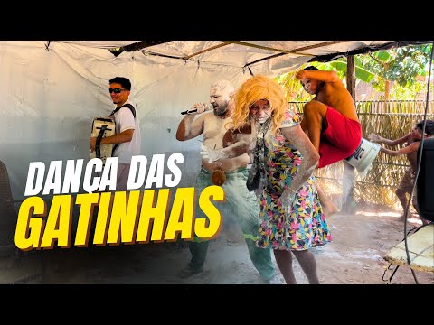 FUNDO DE QUINTAL OFC - DANÇA DAS GATINHAS @DJMalucoOficial 