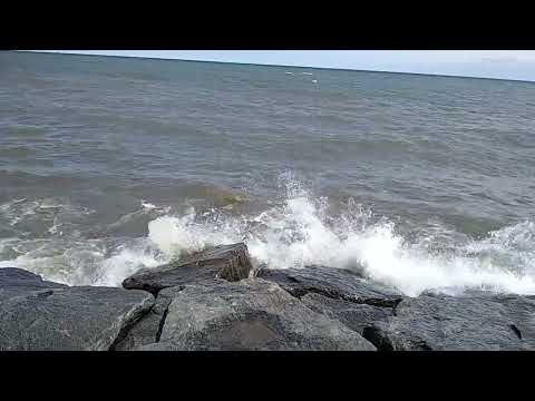 Toronto  lake shore  🇨🇦