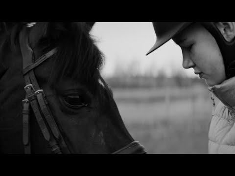 Golden Parazyth - Open Windows (Official Music Video)