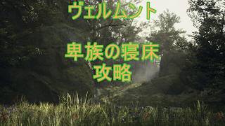 DD2【ドラゴンズドグマ2】攻略プレイ26