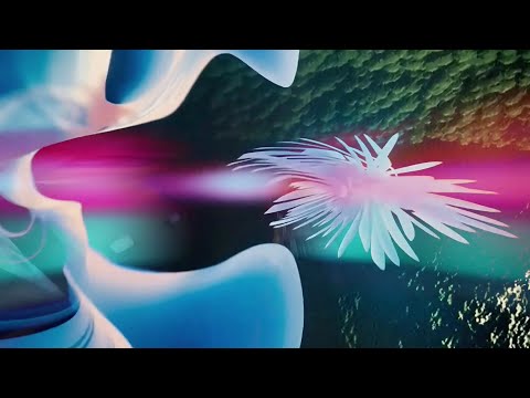 Hayden F — Kirei [SL003]