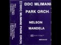 DDC Mlimani Park Orchestra Nelson Mandela Audio
