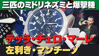 HA-6481| テッラ・チェロ・マーレ マンチーノ クロノグラフ SS HA-6481| テッラ・チェロ・マーレ マンチーノ クロノグラフ SS