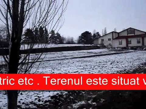 Vand teren urgent intravilan Berchisesti -Suceava, 4000m.p.