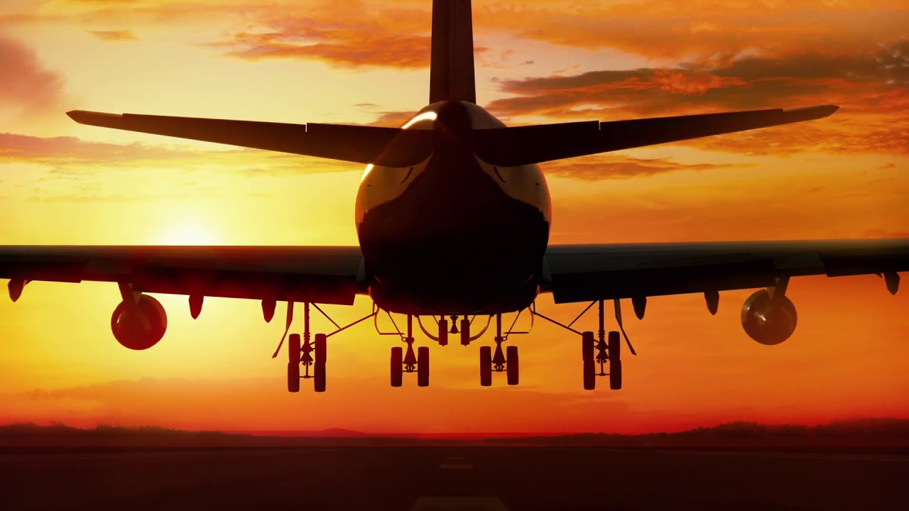 Bird FlightHawk