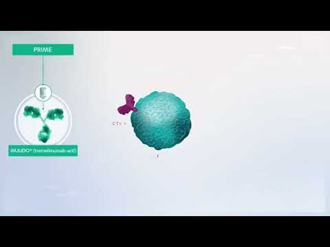 Imfinzi Durvalumab Anti Cancer Injection