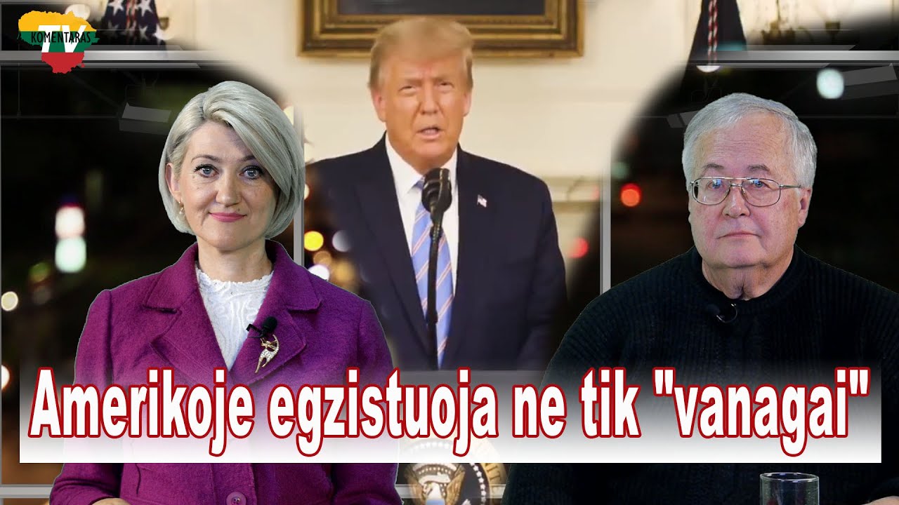 A. Avižienis: Amerikoje dėl Ukrainos yra kelios srovės