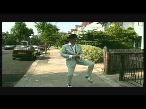 Stars over Stella Street