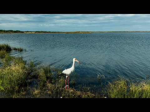 José Ignacio, Maldonado, Uruguay.
