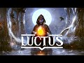 Vidéo de gameplay de Luctus  PC