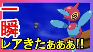 レアポケモンは一瞬すぎたｗｗ ポケモンウルトラサンムーン تنزيل الموسيقى Mp3 مجانا
