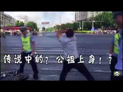 中國海南公祖