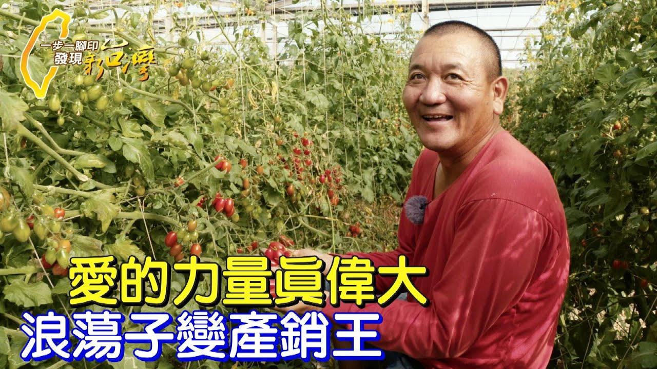 《一步一腳印》為了妻兒戒菸酒賭毒 轉行種番茄推安全農業