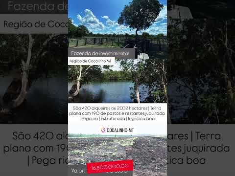 2.032 Hectares em Cocalinho-MT | whatsapp 62 99373-6407