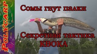 Ссылка