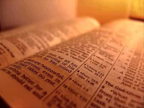 The Holy Bible - Acts Chapter 28 (KJV)