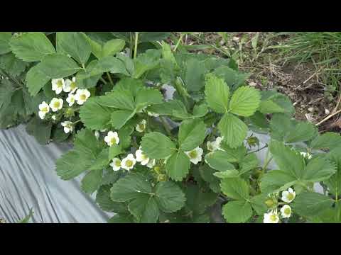 Naša priča 10.05.2019. NAJAVA