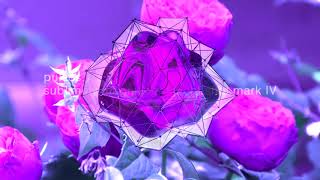 Music video thumbnail preview for pvls​-​s. x bd lck. - sblmly mgnfycnt jcht sht mk 4. by pulses.