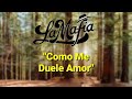 Como Me Duele Amor La Mafia (Letra) (Lyric Video)