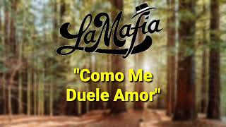 Como Me Duele Amor La Mafia (Letra) (Lyric Video)