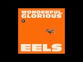 EELS - Stick Together