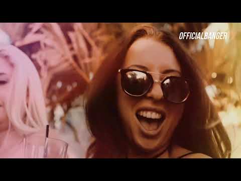 SURVIVOR x BON JOVI x Savin & DMC Mikael   Tiger Life DJ Baur HOT Mixshow   VIDEO